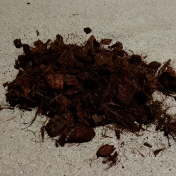 Fragments de Coco 10-20 mm pour filtre compact cocolit 5 et 9 EH