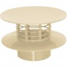 Extacteur statique Beige Diam 100mm
