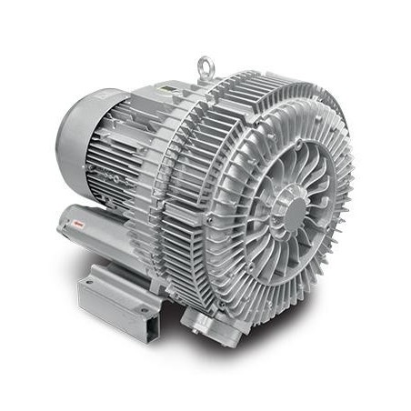 SOUFFLANTE 230V - 0,7 KW