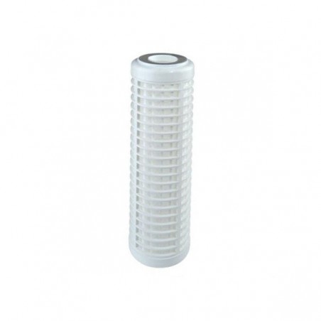 Cartouche filtrante  RL10SX 50 micron